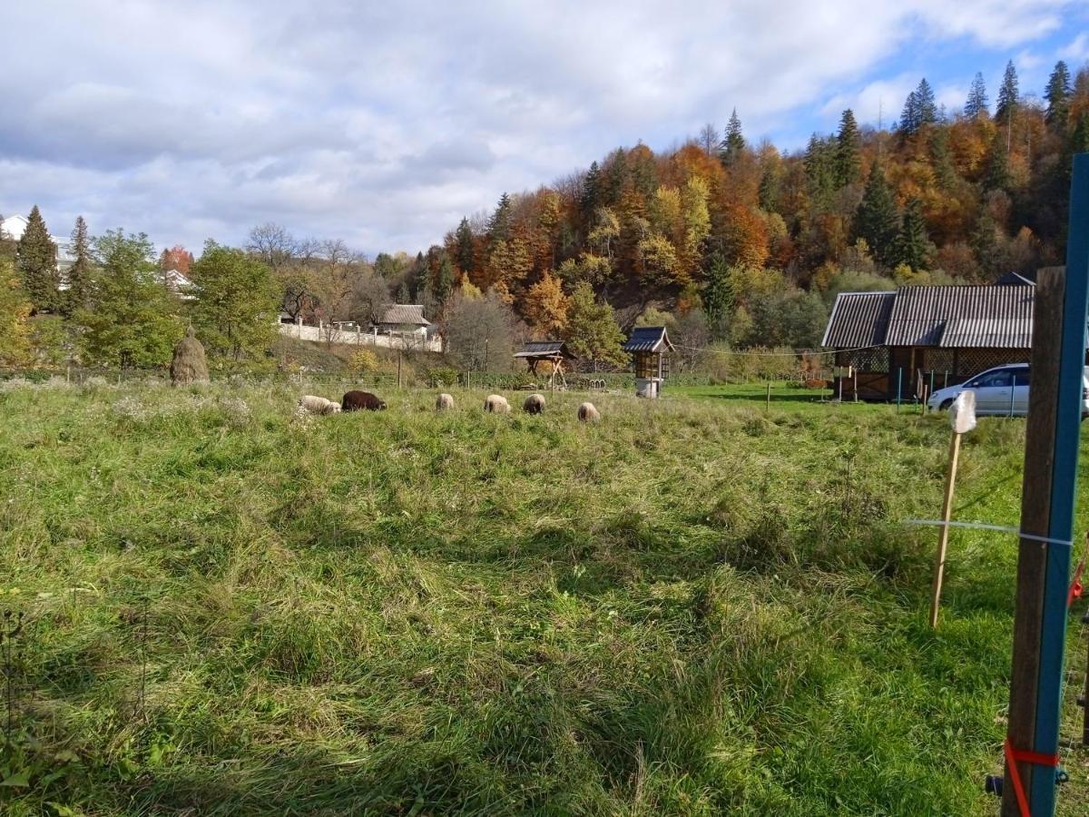 Садиба Федорчуків Гірська Хатина เชชอเร ภายนอก รูปภาพ